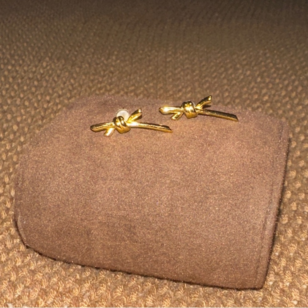 New Stainless Steel Fashion Jewelry Earrings